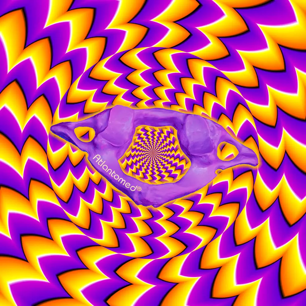 Illusion manipulations cervicales chiropratiques